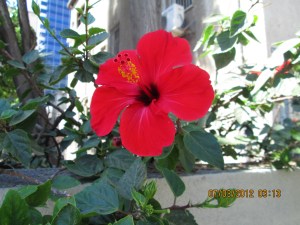 Welcome to Tel Aviv 014