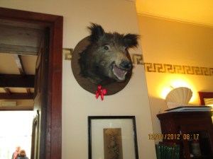 Boars head on our way to our seats!