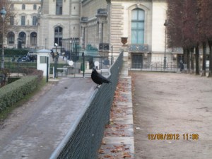 walking to The Louvre