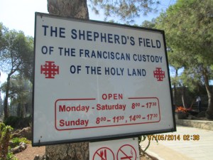 The Shepherd's Field just outside of Bethlehem
