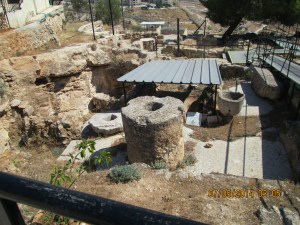 Bet Sahour, just outside of Bethlehem: Shepherd's Fields--excavation of prior monastery..where they pressed olives into olive oil
