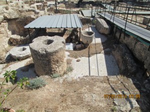 Bet Sahour, just outside of Bethlehem: Shepherd's Fields--excavation of prior monastery..where they pressed olives into olive oil