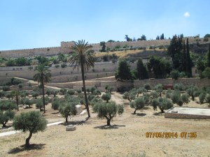 Views wile walking to Gethsemane in Muslim Quarter of Jerusalem