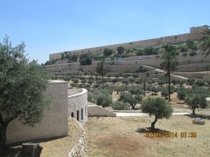 Views wile walking to Gethsemane in Muslim Quarter of Jerusalem