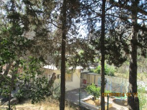 July6Camera 001Kibbutz Reishit