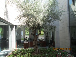 July7Camera 048Domus Galilee