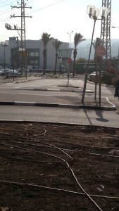 IMG_20141125_050621375