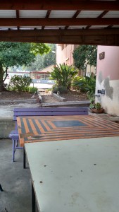 IMG_20141125_061034465_HDR