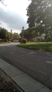 IMG_20141125_063249892