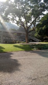 IMG_20141125_063300464