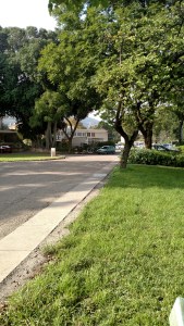 IMG_20141125_063304111