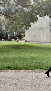 IMG_20141125_063958543_HDR