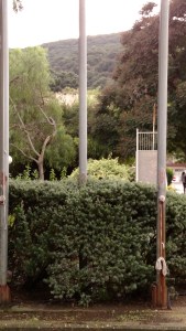 IMG_20141127_142801174