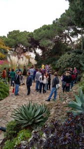 IMG_20141129_115334831_HDR