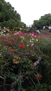 IMG_20141129_115420437