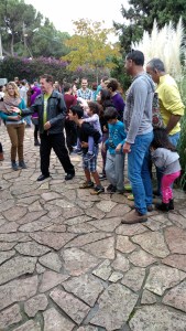 IMG_20141129_115624603