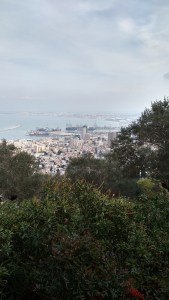 IMG_20141129_120154599_HDR