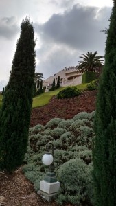 IMG_20141129_120248769_HDR