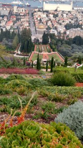 IMG_20141129_120303198_HDR