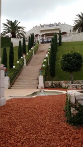 IMG_20141129_120457223