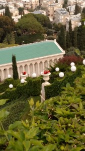 IMG_20141129_122650588