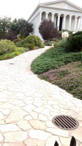 IMG_20141129_123728908