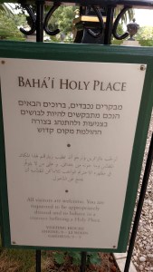 IMG_20141129_131138972