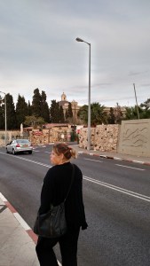 IMG_20141129_153745097_HDR