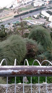 IMG_20141129_154254972