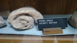 IMG_20141129_160811064