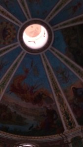 IMG_20141129_161046938