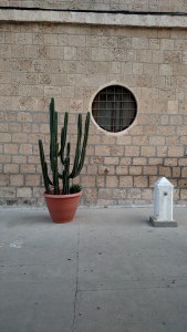 IMG_20141129_161454936