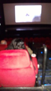 IMG_20141129_174207729