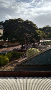 IMG_20141126_090234714_HDR