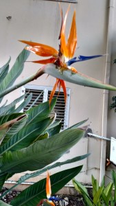 IMG_20141126_143350895_HDR