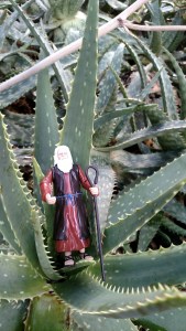 IMG_20141126_144526737