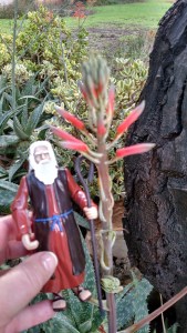 IMG_20141126_144542734_HDR