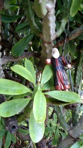 IMG_20141126_144724455