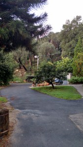 IMG_20141126_144928735_HDR