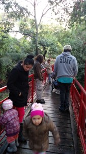 IMG_20141126_161201810