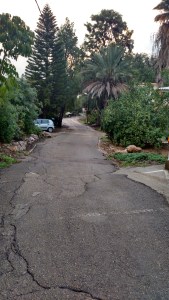 IMG_20141126_161645259_HDR