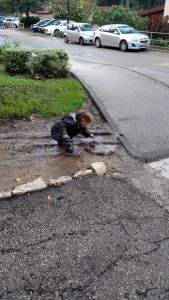 IMG_20141126_161854978