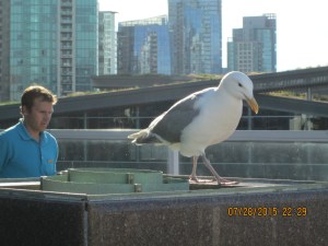 Vancouver Canada Place