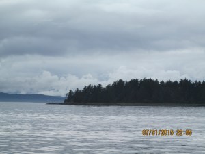  Whale Watching Juneau
