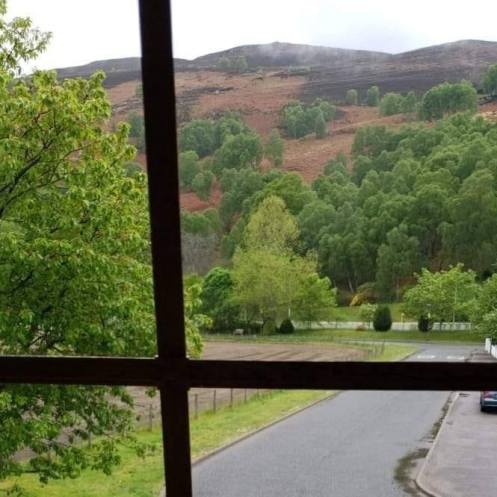 My Bedroom Window View.jpg